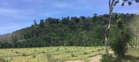 Propriété commerciale à Khok Kloi, Thailand 3766m² No. 8052 2