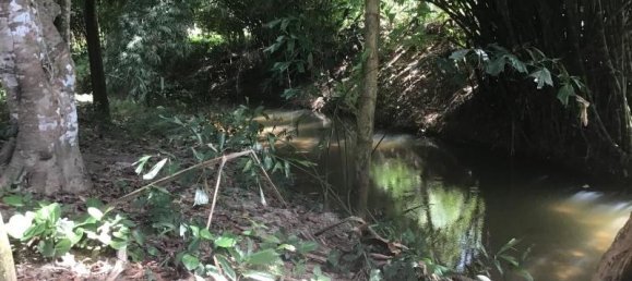 Propriété commerciale à Khok Kloi, Thailand 3766m² No. 8052 12