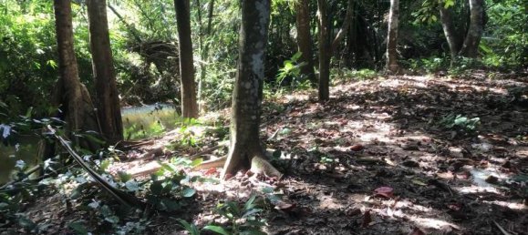 Propriété commerciale à Khok Kloi, Thailand 3766m² No. 8052 13