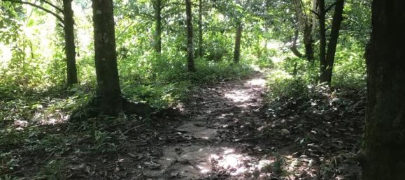 Propriété commerciale à Khok Kloi, Thailand 3766m² No. 8052 5