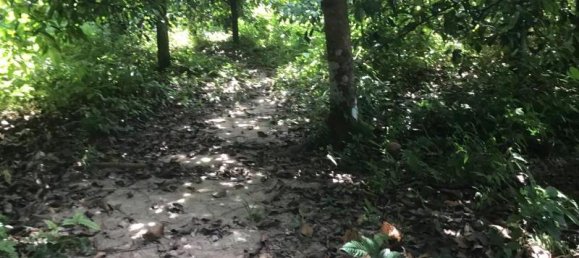 Propriété commerciale à Khok Kloi, Thailand 3766m² No. 8052 7