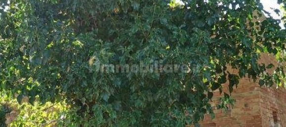 5-Zimmer Haus in San Gimignano, Italy, Nr. 220496 11