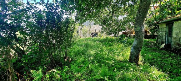 3 غرف نوم منزل في Vieira do Minho, Portugal رقم 184580 21