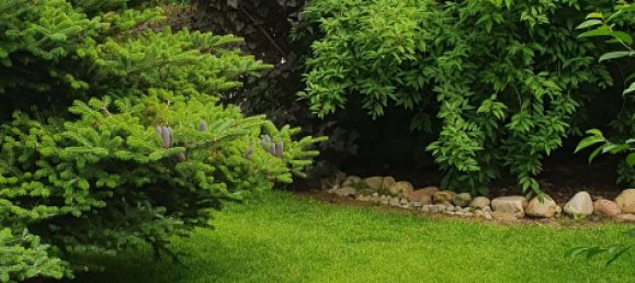 4-salle Maison à Schleswig-Flensburg, Germany No. 217713 24