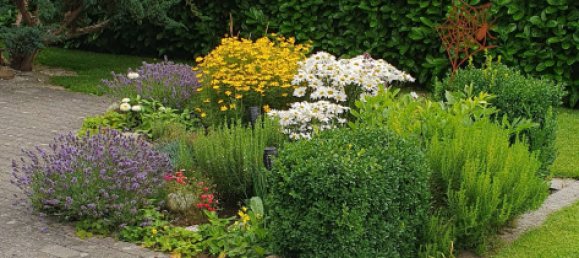 4-salle Maison à Schleswig-Flensburg, Germany No. 217713 27