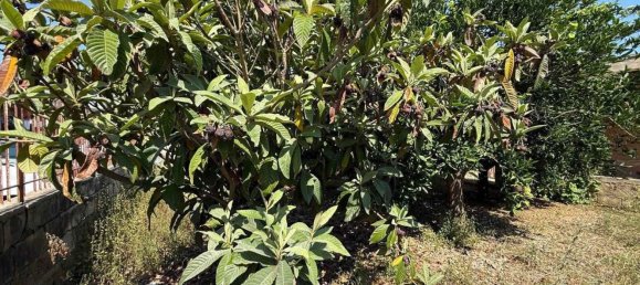 1 bedroom House in Syracuse, Italy No. 312151 7