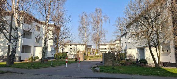 Estudio en Cologne, Germany No. 131374 2