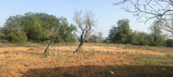 Terrain à Quelfes, Portugal No. 77442 6