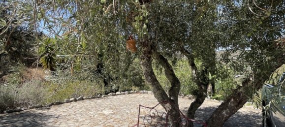 6 bedrooms House in Loule, Portugal No. 103598 26