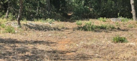 Grundstück in Cabasse, France 300000m², Nr. 59627 4