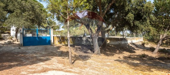 4 bedrooms House in Coruche, Portugal No. 181106 30