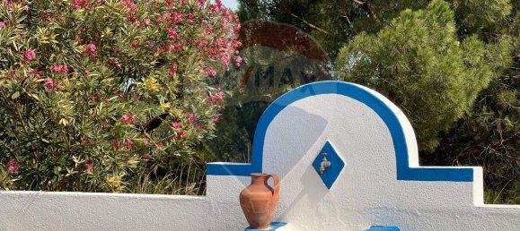 4 bedrooms House in Coruche, Portugal No. 181106 4