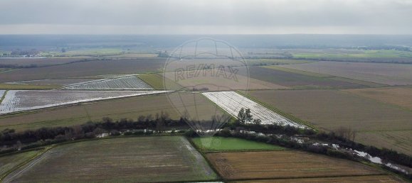 4 bedrooms House in Coruche, Portugal No. 181106 38