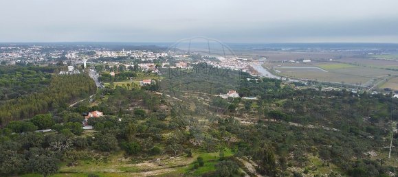 4 bedrooms House in Coruche, Portugal No. 181106 35