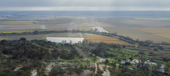 4 bedrooms House in Coruche, Portugal No. 181106 34