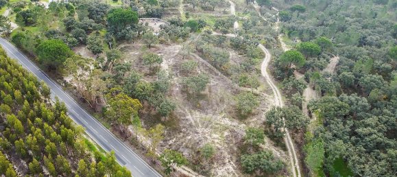 4 bedrooms House in Coruche, Portugal No. 181106 32