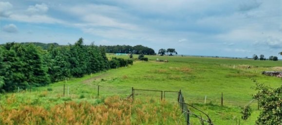 Ферма с 4 комнатами в Передняя Померания-Грайфсвальд, Германия № 258948 2