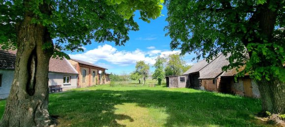 Ферма с 4 комнатами в Передняя Померания-Грайфсвальд, Германия № 258948 4