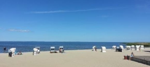 Ферма с 4 комнатами в Передняя Померания-Грайфсвальд, Германия № 258948 18