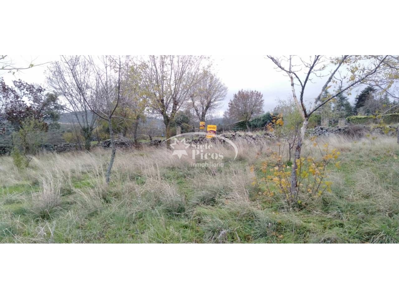 930m² Land in Navas De Riofrio, Spain No. 250167