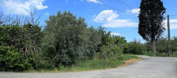 2 rooms Warehouse in Borgia, Italy No. 220388 10