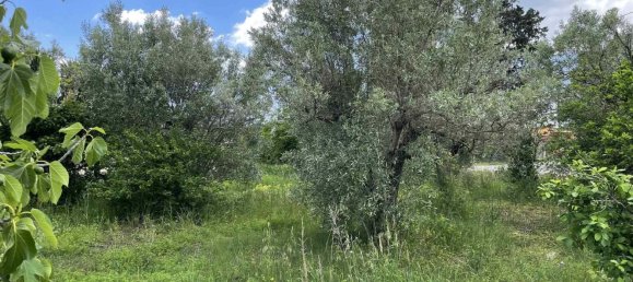 2 rooms Warehouse in Borgia, Italy No. 220388 7