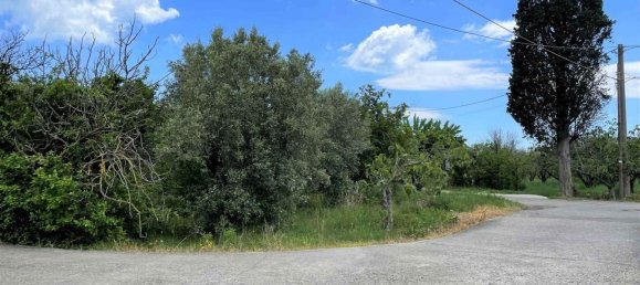 2 rooms Warehouse in Borgia, Italy No. 220388 9