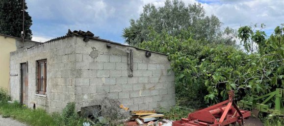 2 rooms Warehouse in Borgia, Italy No. 220388 5