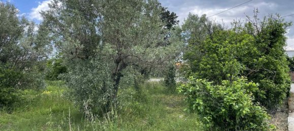 2 rooms Warehouse in Borgia, Italy No. 220388 8