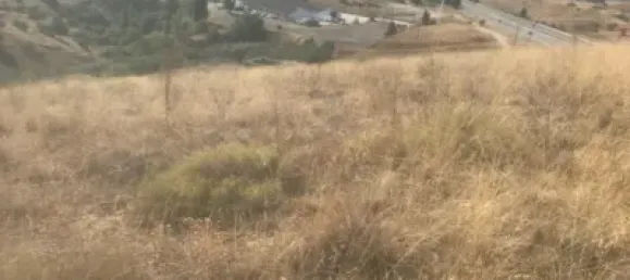  Land in El Molar, Spain No. 80203 13