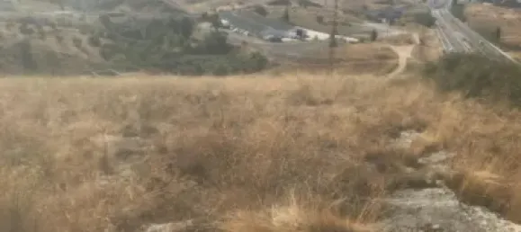  Land in El Molar, Spain No. 80203 5