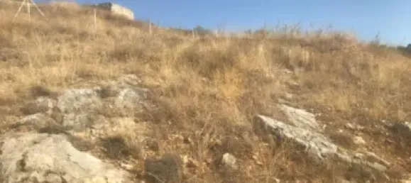  Land in El Molar, Spain No. 80203 12