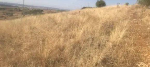  Land in El Molar, Spain No. 80203 2