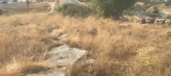  Land in El Molar, Spain No. 80203 4