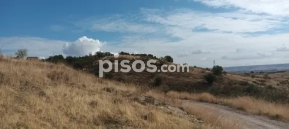  Land in El Molar, Spain No. 80203 11