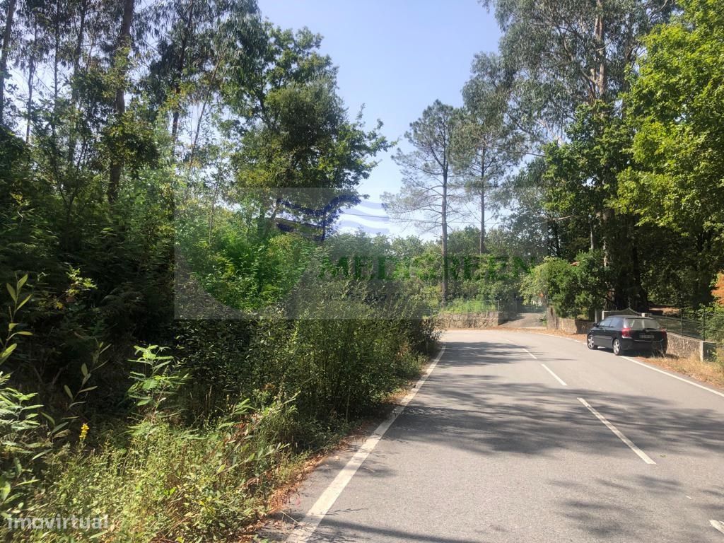 Grundstück in Sever do Vouga, Portugal 2000m², Nr. 257521