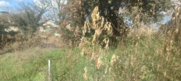 Terrain à Caldes de Malavella, Spain 837m² No. 21929 15