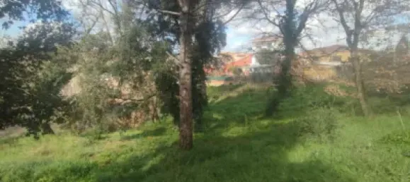 Terrain à Caldes de Malavella, Spain 837m² No. 21929 14