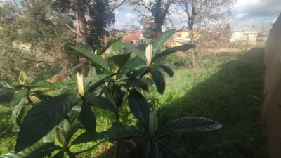 Terrain à Caldes de Malavella, Spain 837m² No. 21929