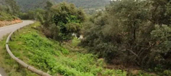  Land in Girona, Spain No. 190376 14