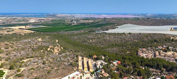 3 bedrooms Villa in Almoradi, Spain No. 158233 6