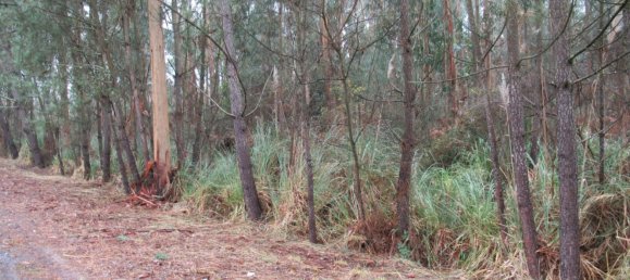 Terrain à Vila Nova de Gaia, Portugal 9800m² No. 60342 2