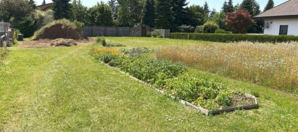 Terreno en Gunskirchen, Austria 1031 m² No. 203324 2