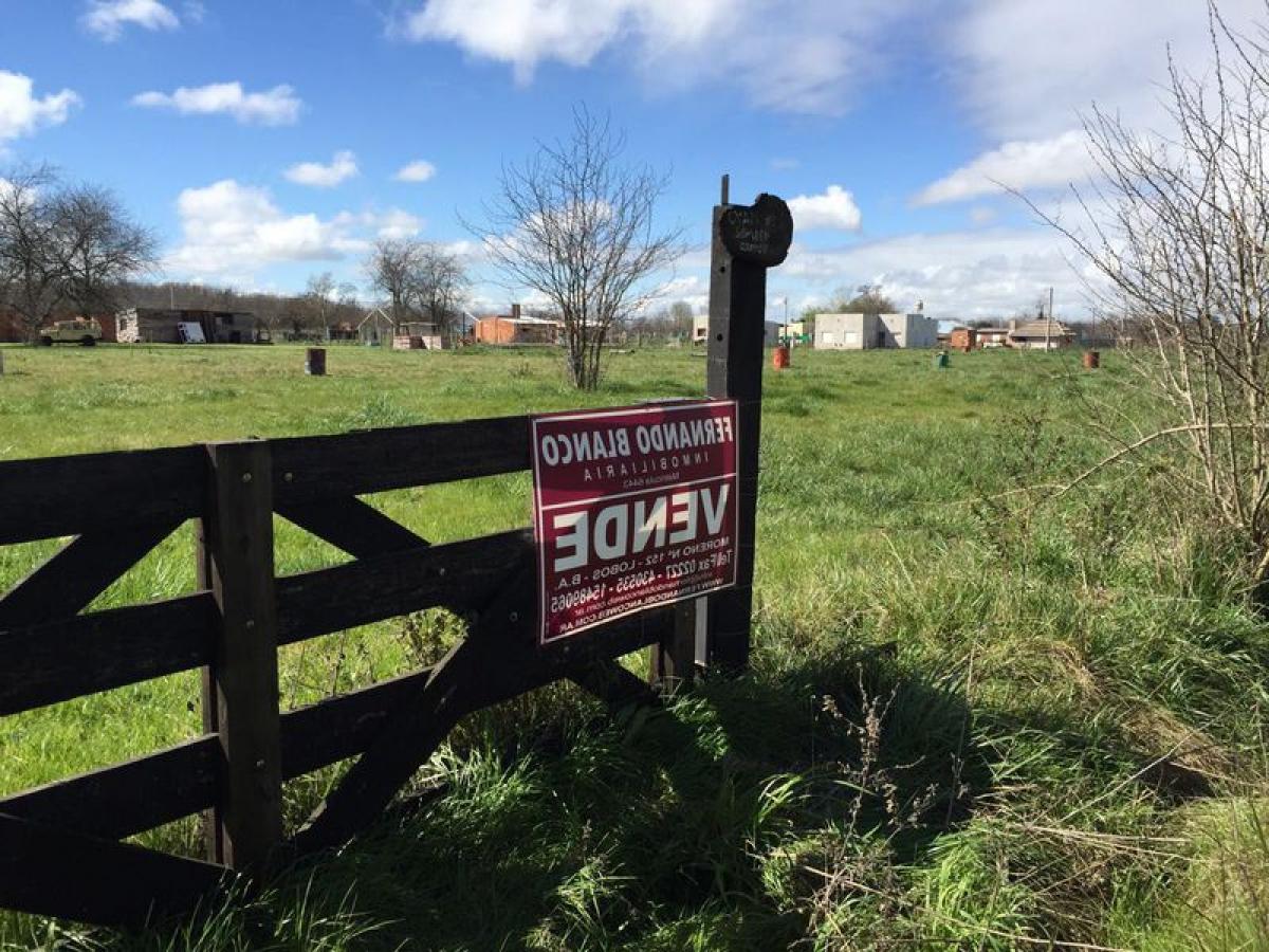  Land in Lobos, Argentina No. 45274