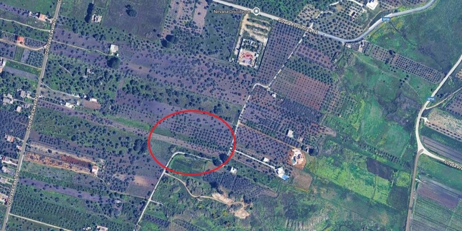 3900m² Land in Castelvetrano, Italy No. 291586