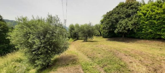 1-Zimmer Grundstück in Roè Volciano, Italy, Nr. 146964 6