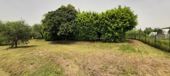 1-Zimmer Grundstück in Roè Volciano, Italy, Nr. 146964 5