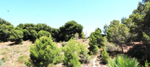 3 bedrooms Villa in Alicante, Spain No. 178171 20