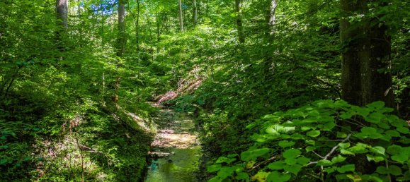 8 rooms Townhouse in Miesbach, Germany No. 298299 26