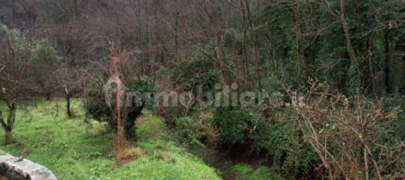 5 rooms House in Capannori, Italy No. 63980 5